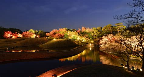 朱雀花|朱雀の庭｜【京都市公式】京都観光Nav